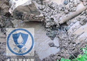 伍家岗区水管漏水检测公司5